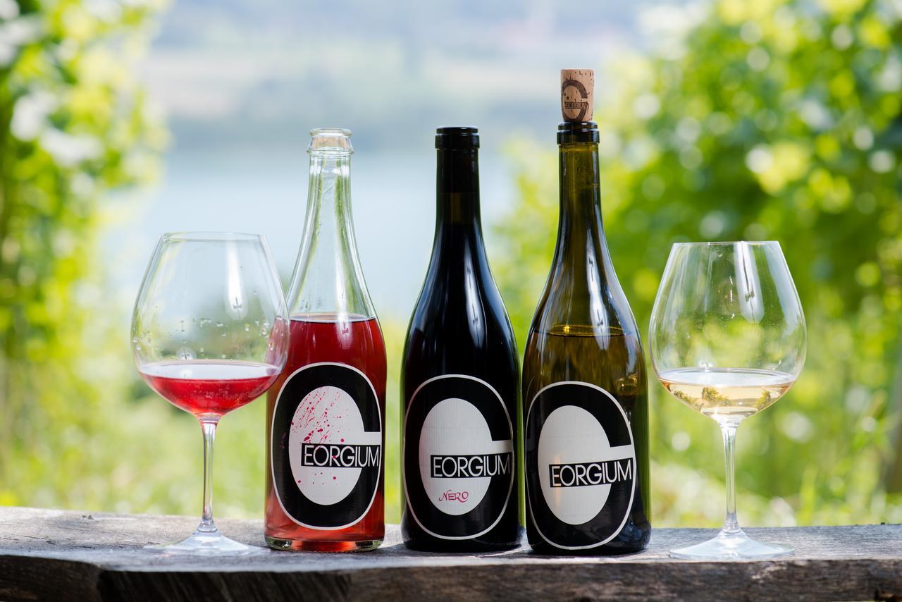 Bed and Breakfast Weingut Georgium Sankt Georgen am Längsee Zewnętrze zdjęcie