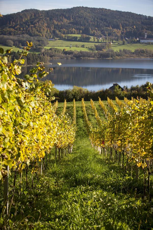 Bed and Breakfast Weingut Georgium Sankt Georgen am Längsee Zewnętrze zdjęcie